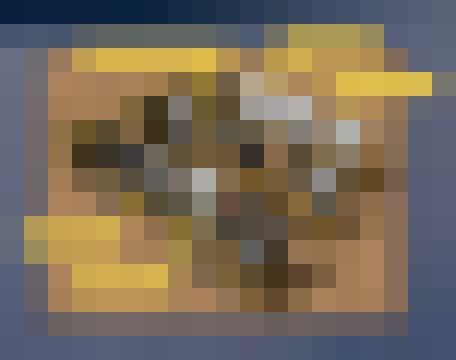 ceci n'est pas un mensonge